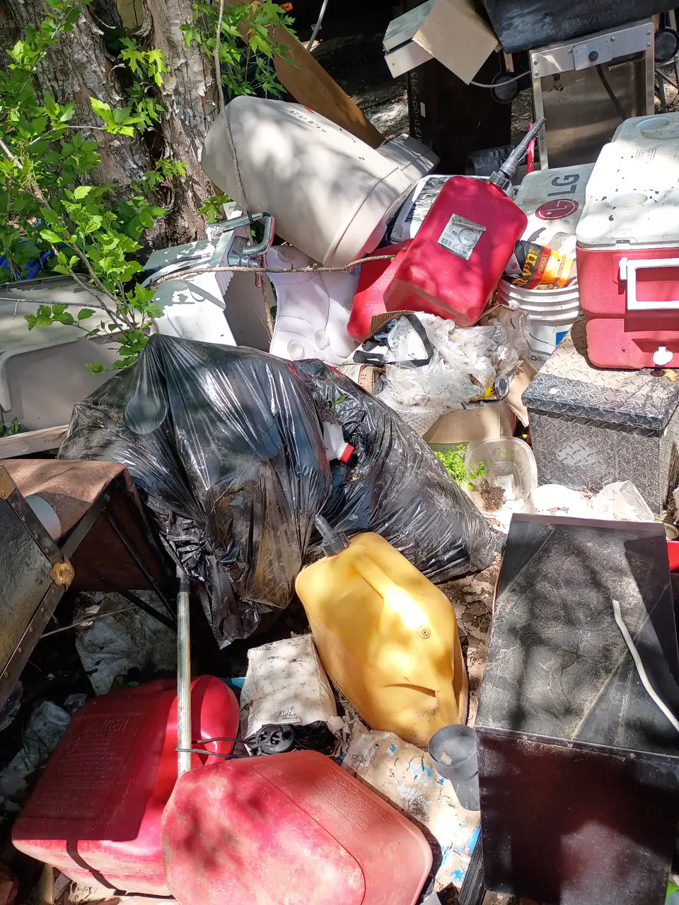 Outdoor property debris ready for cleanup